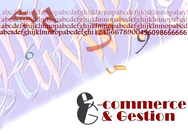 Ecommerce & Gestion